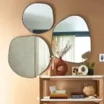 miroir forme organique originale